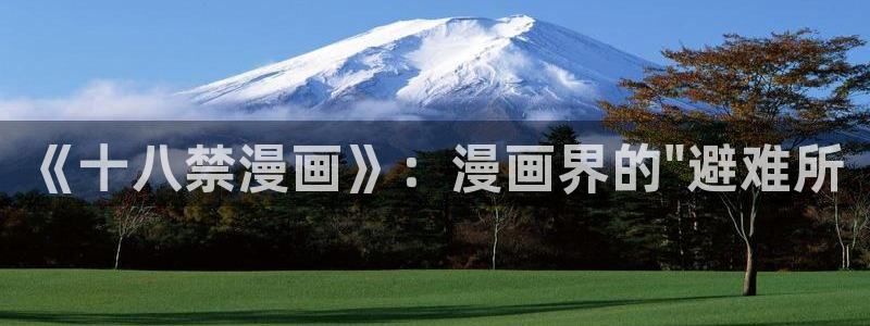 91动漫网站在线观看：《十八禁漫画》：漫画界的\