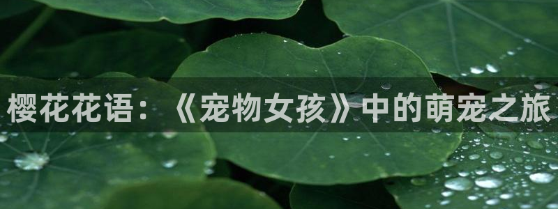 91动漫网站免费看nba免费：樱花花语：《宠物女孩》中的萌宠之旅